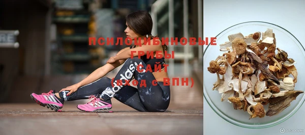прущие грибы Алзамай