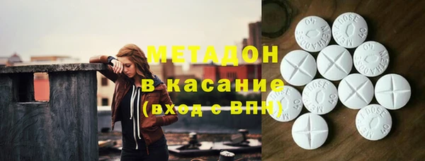 прущие грибы Алзамай