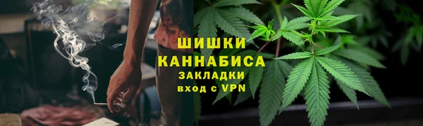 сатива Осинники