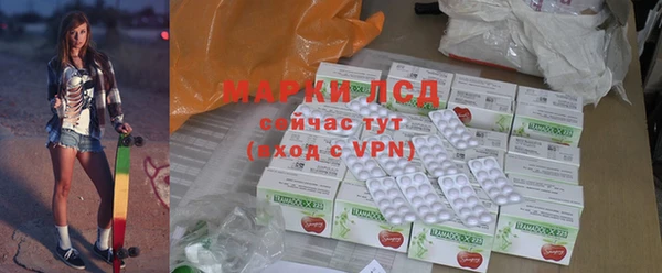 прущие грибы Алзамай
