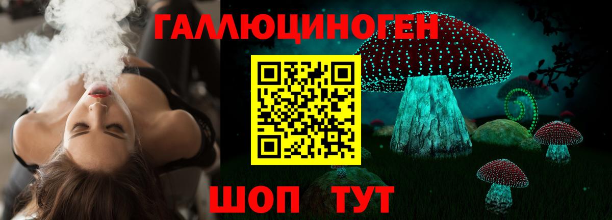 Кириши  Псилоцибиновые грибы Magic Shrooms  Вход с VPN 